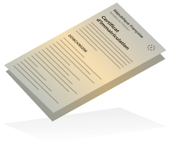 Illustration de carte grise